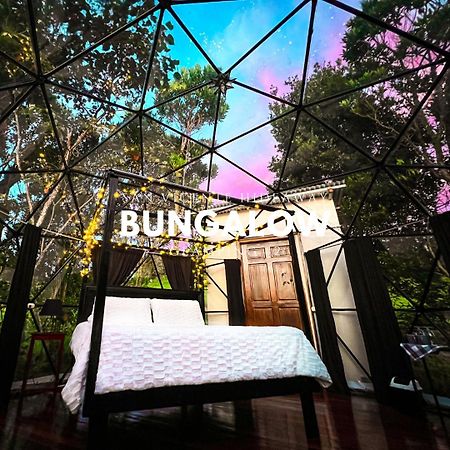 Hotel San Vicente Hideaway Quesada  Екстериор снимка